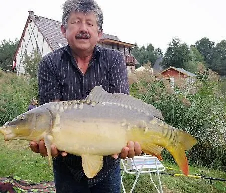 Restauracja Teo Gasthof *