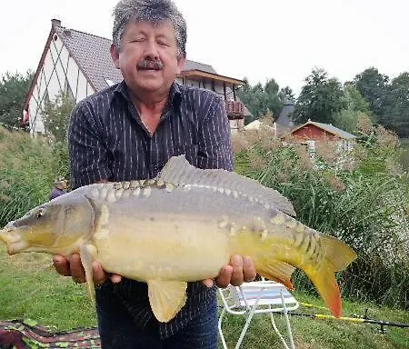 Restauracja Teo Herberg *