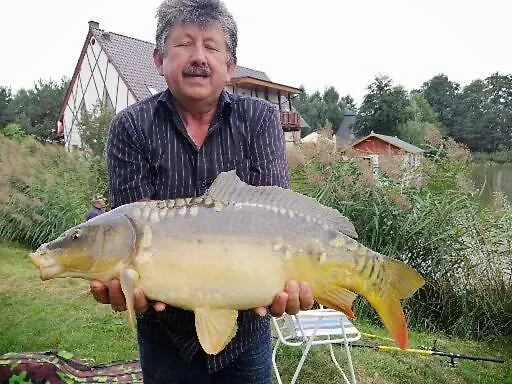 Restauracja Teo Inn *